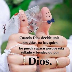 Meet your Posher, Minnie